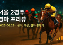 서울 2경주 경마 프리뷰 (2025.06.28) – 분석, 예상, 결과 총정리 - 경마사이트