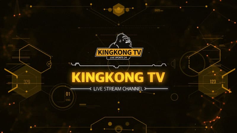 킹콩티비 링크 안전 주소 – 무료 실시간 고화질 중계 바로보기 - 경마사이트