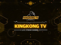 킹콩티비 링크 안전 주소 – 무료 실시간 고화질 중계 바로보기 - 경마사이트